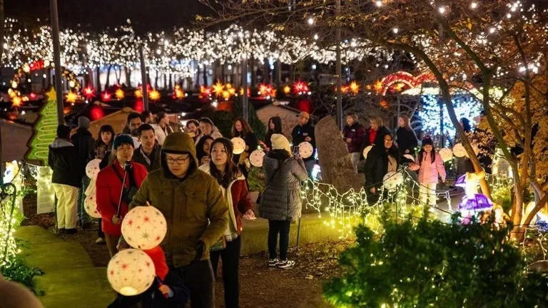Seattle and Tacoma Celebrate Holiday Cheer with Winterfest and Lights Events second image